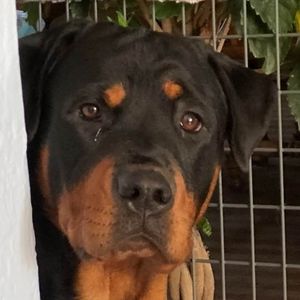 Meet your Posher, Leah